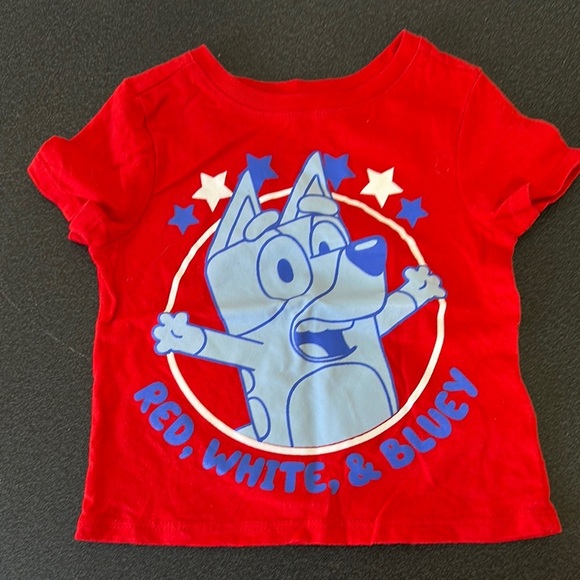 Nickelodeon Red and Blue Cartoon Character Tee BLUEY - Picture 1 of 2